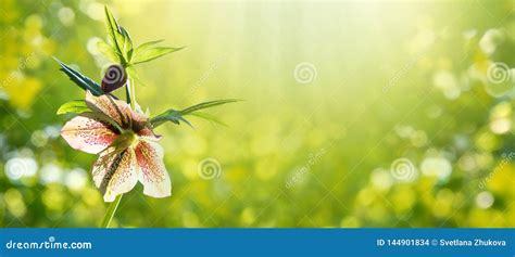 新沂地區(qū)游戲工作室合作指南 聚焦蘋(píng)果策略類(lèi)手游與互聯(lián)網(wǎng)信息服務(wù)